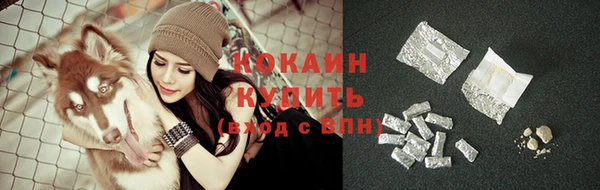 твердый Кущёвская