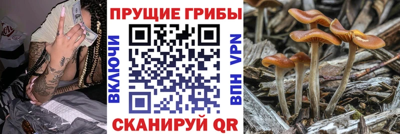 mega маркетплейс  Абаза  Псилоцибиновые грибы прущие грибы 